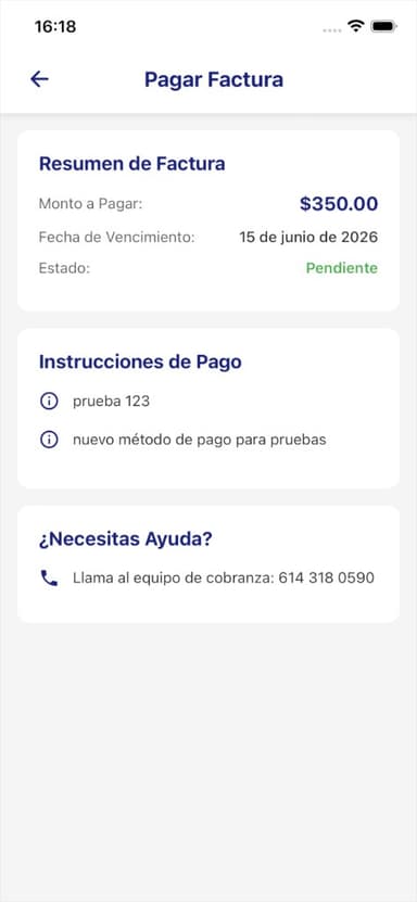 Pantalla de pago de factura